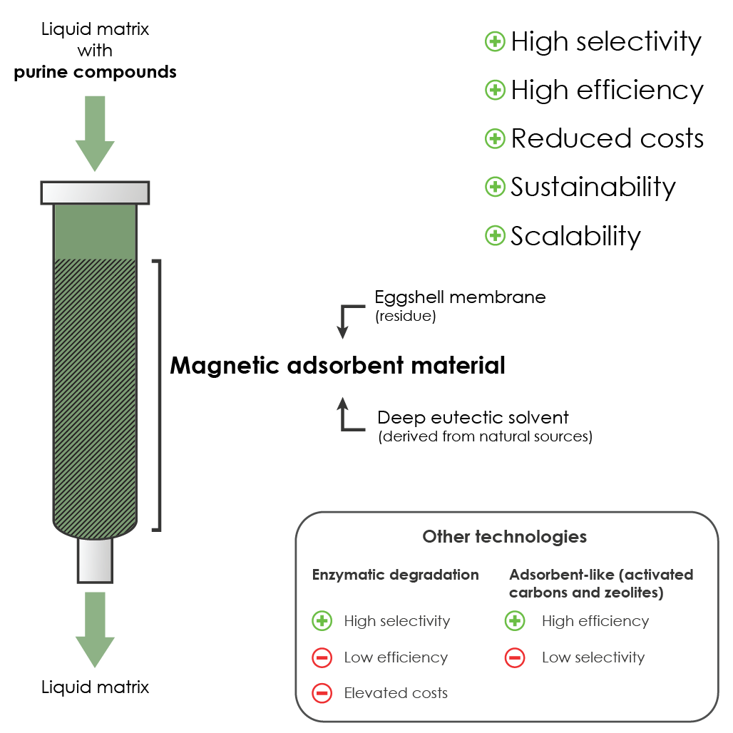 Efficient And Selective Magnetic Adsorbent For Removal Of Purine