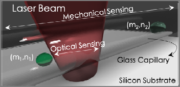 Identification of particles and/or cells in suspension using a mechano-optical system