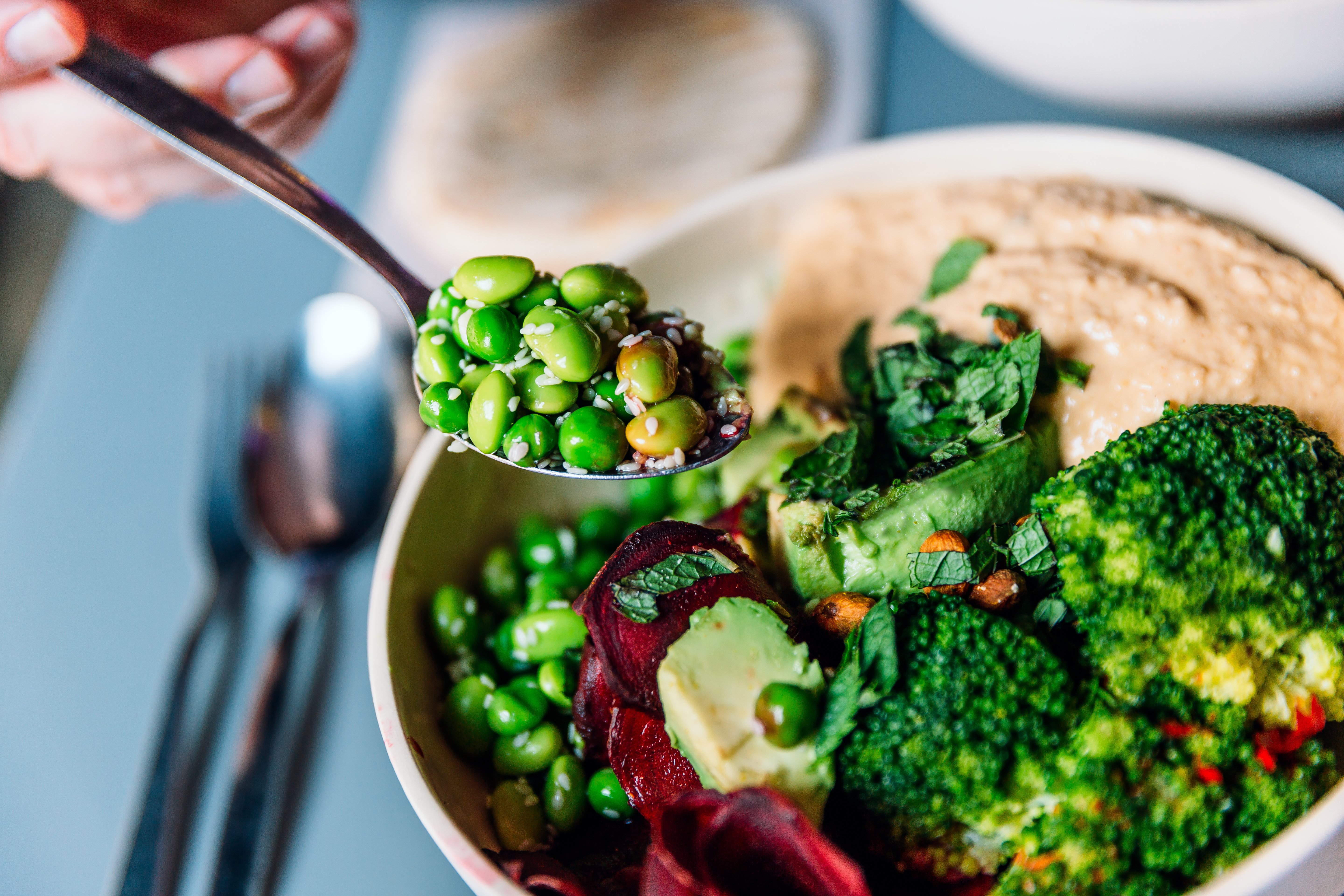 Seeking Functional Ready-to-Market Products and Prototypes in Frozen Food