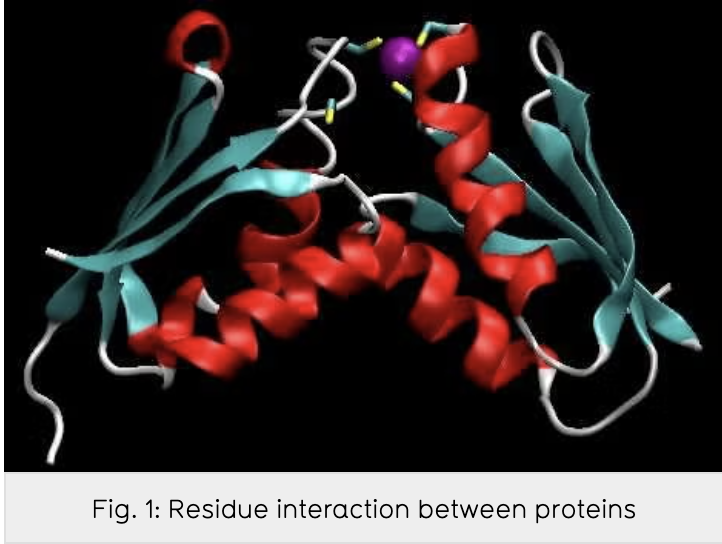 P2K: Pattern to knowledge AI software for predicting residue interacting sites between proteins