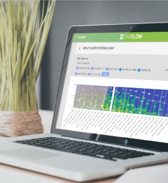 GASFLOW: Supply Chain Execution System for the Gas Industry