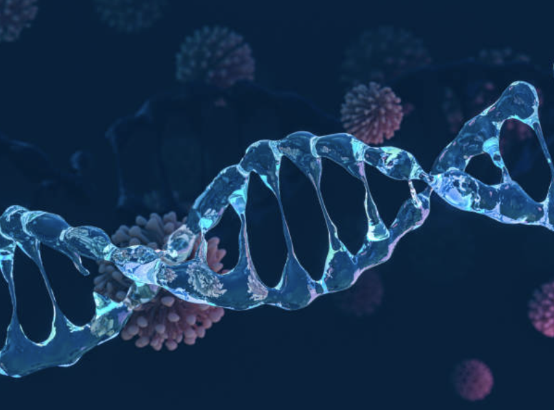 DNA aptamer with affinity for the PD-L1 protein and its application