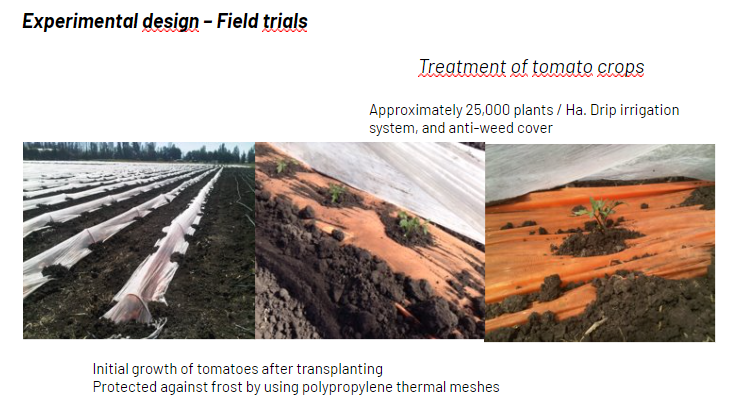 Agrobiotech, bio-fertilizer that increases size of plants and its resistance to fungicidal attacks