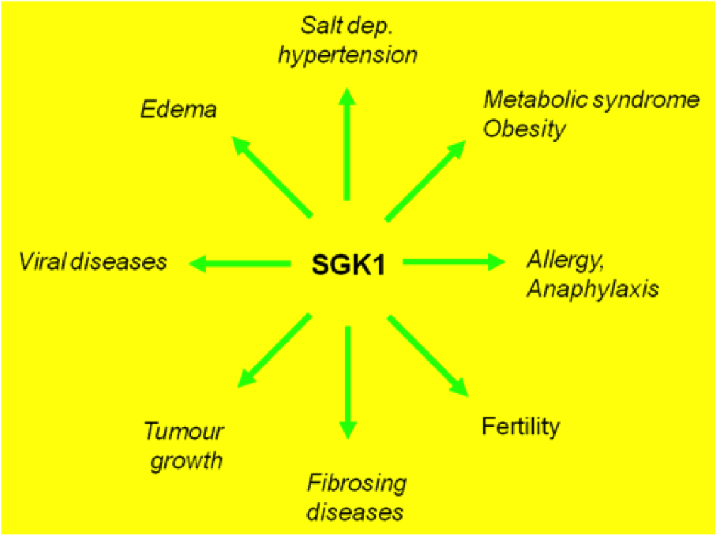 Merck KGaA