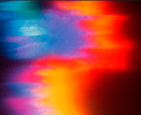 Flash-Thermography: High-Speed non-invasive sexing via differential wing insulation