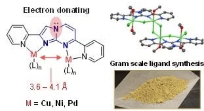 A novel ligand to prepare multi-metallic complexes for use in catalytic reactions