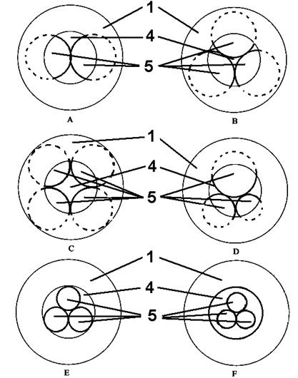 Multicapillary nebulizer for simultaneous nebulization of two or more liquids