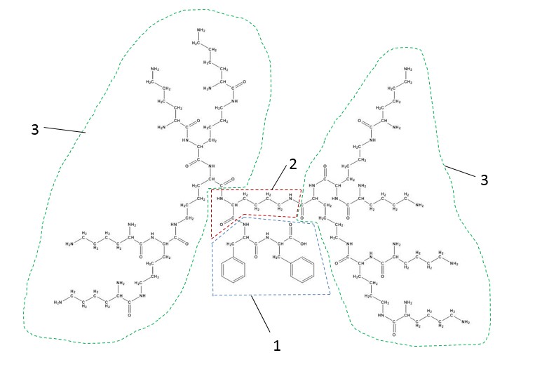 Novel bioadhesive for wound closure in animals or humans