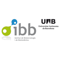 IBB-UAB