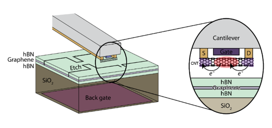Cnt Defect Structure CNT-Based Structure for High-Resolution Semiconductor Process Control