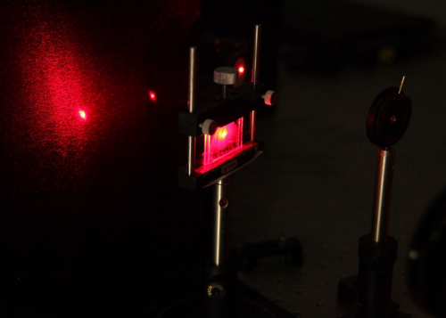 Holographic sensor for detection of adulterants in essential oils