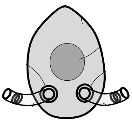 Breathe free air of COVID-19 in indoor common areas