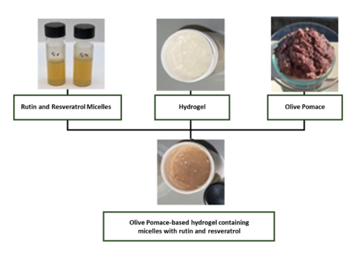 Olive pomace-based hydrogels containing novel micelles with rutin and resveratrol for topical use