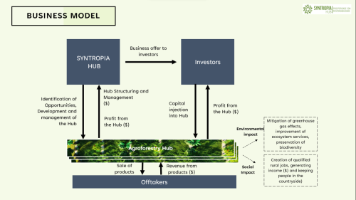 Innovative regenerative agroforestry systems
