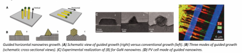 Photovoltaic Devices Based on Guided Nanowire Arrays
