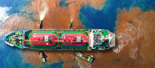 Synergistic bioremediation composition for hydrocarbon pollutant degradation