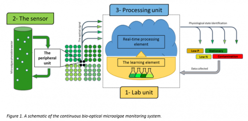 Continuous Biooptical Monitoring of Microalgae Crops
