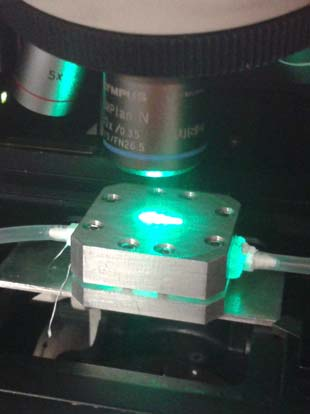 Microfluidics device for SERS