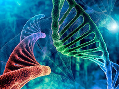 Webinar: Naturally Occurring Sensitive Nucleic Acids, Applications and Chemical Synthesis