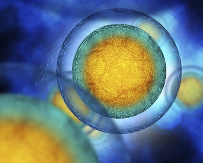 Cell Line Development & Engineering